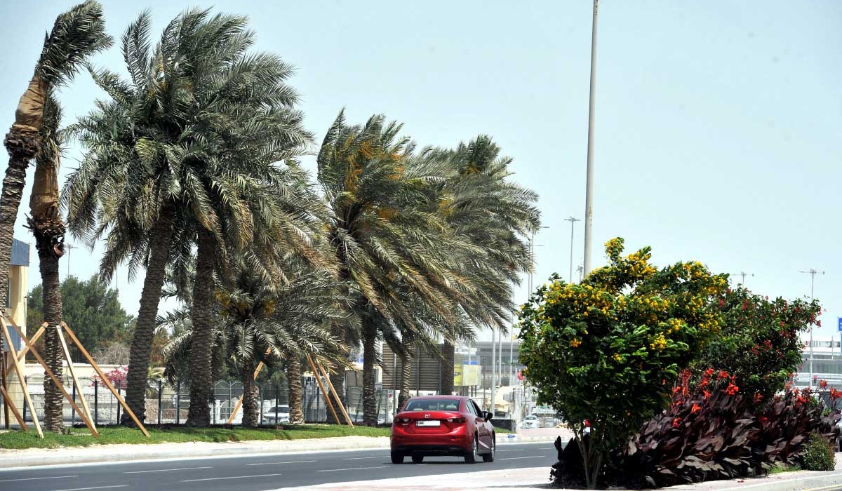 Strong Northwesterly Winds to Hit Qatar Starting April 15